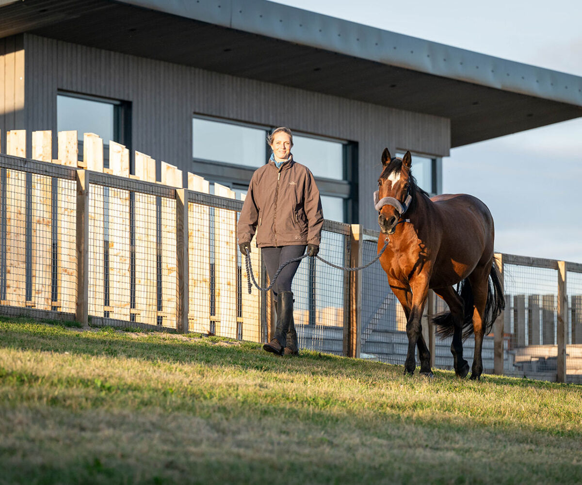 Lady walking bay horse Infront of Woodland holiday lodge
