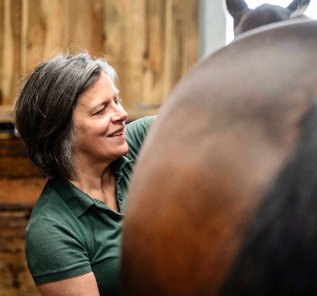 Lady giving reiki to a horse