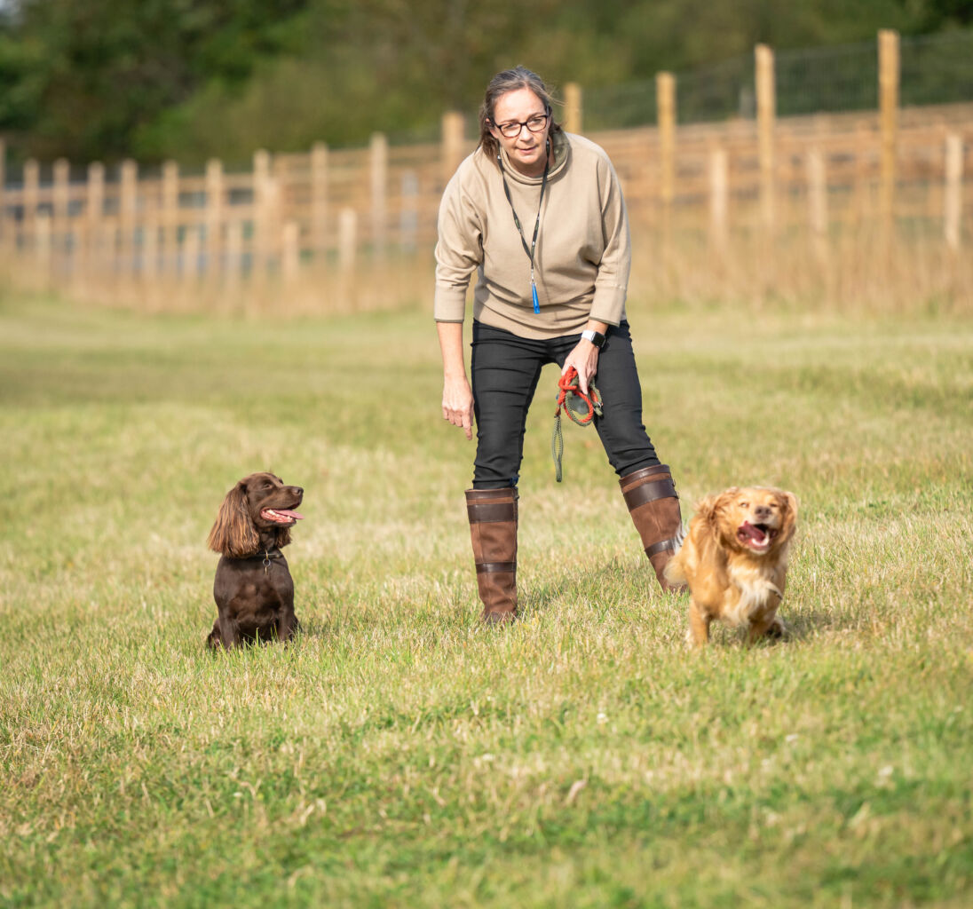 A woman in a beige sweater and brown boots stands on a grassy dog park with two dogs, one brown and the other golden, each sitting beside her.