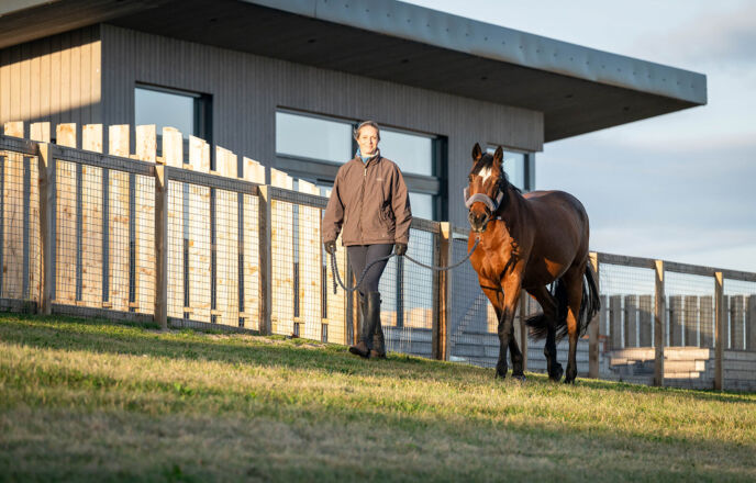 Lady walking bay horse Infront of Woodland holiday lodge